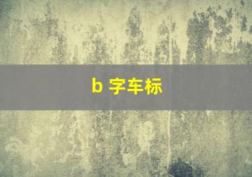 b 字车标